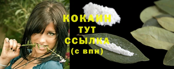 мяу мяу мука Ельня
