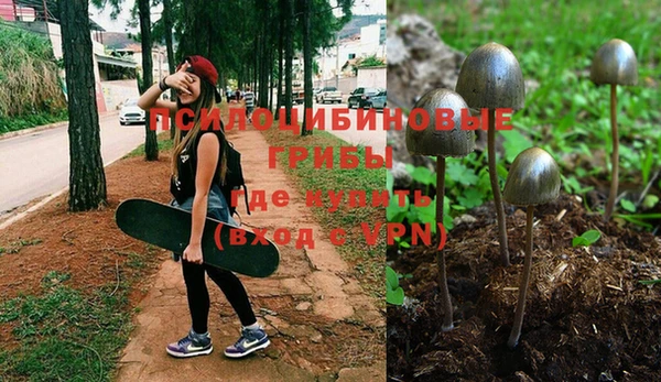 гидропоника Елизово