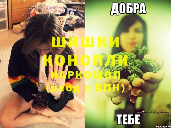 мяу мяу мука Ельня